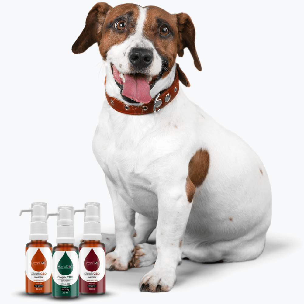 Pies z olejkami